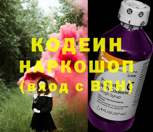индика Нязепетровск