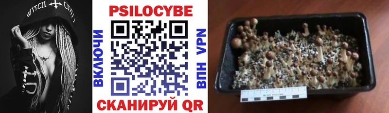 Псилоцибиновые грибы MAGIC MUSHROOMS  где найти наркотики  Краснокамск 