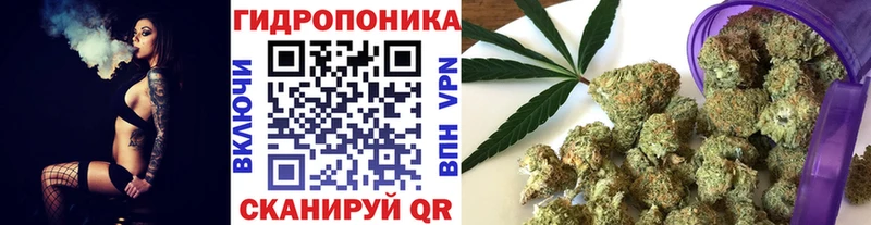 Бошки Шишки семена  купить наркоту  ссылка на мегу ссылки  Краснокамск 